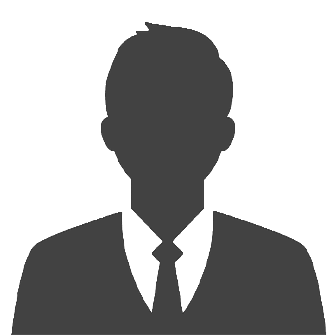 MR. MOHAMMED AMER MOHAMMED EL METTWALY SATUR